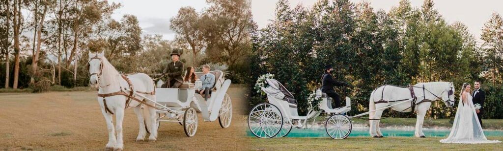 ALQUILER COCHES CABALLOS PARA BODAS MEDELLÍN