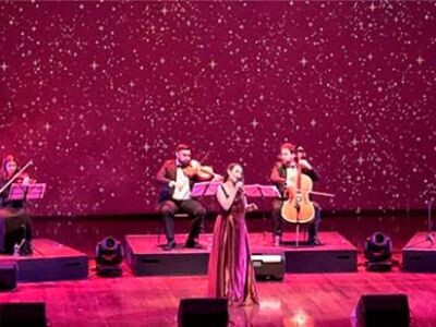 ESPECTÁCULOS ARTÍSTICOS PARA FIESTAS