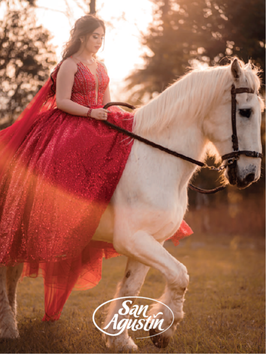 PORTAFOLIO QUINCE AÑOS TU SAN AGUSTÍN