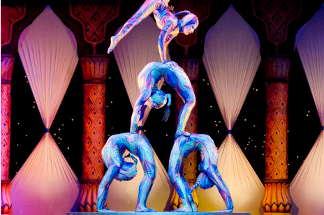 Shows y Espectáculos