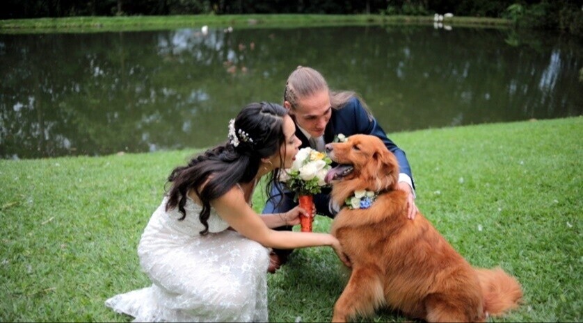 image002-blog-bodas-con-mascotas-tu-san-agustin.jpg